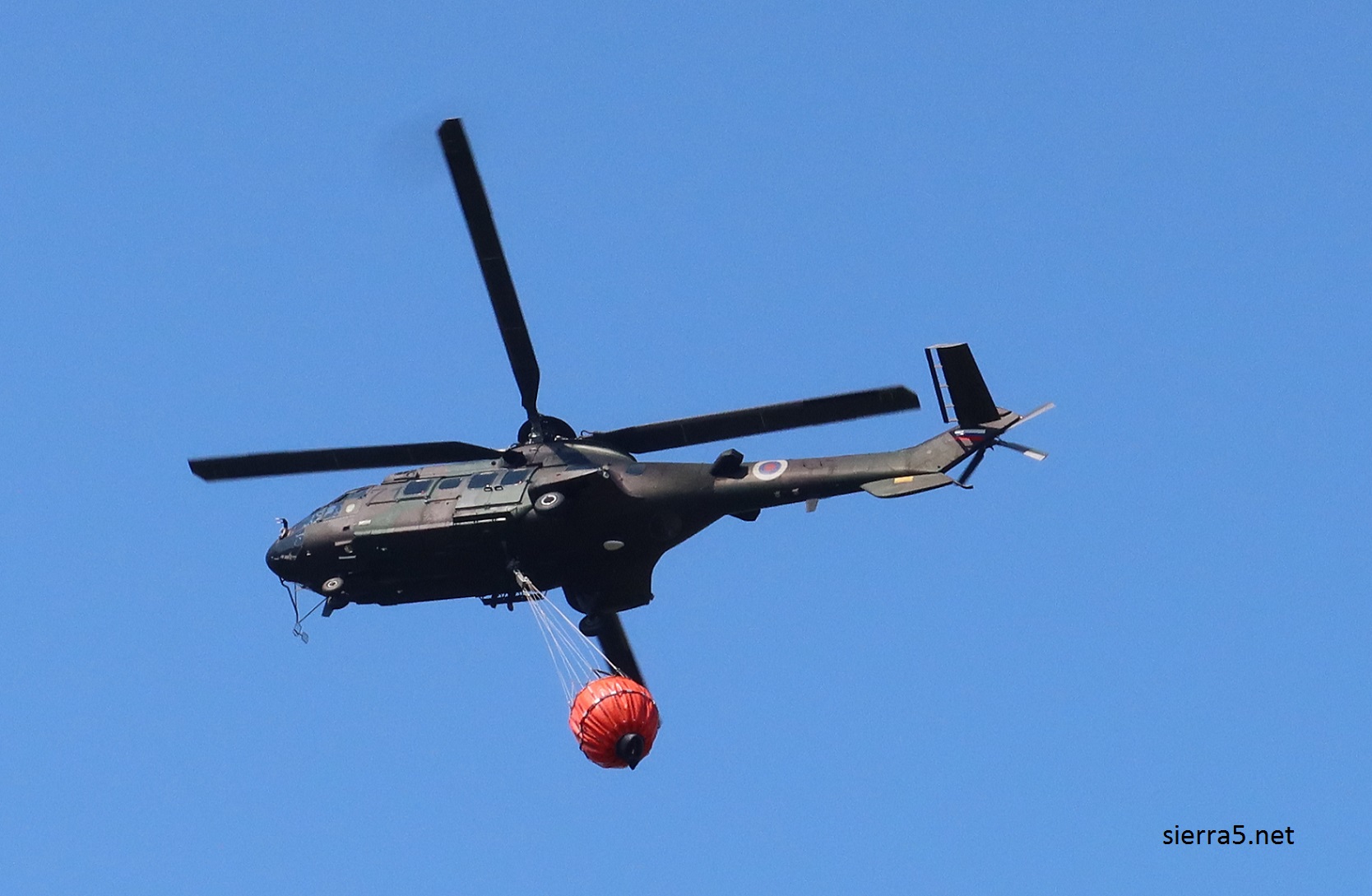 SV Cougar krass24 IMG 2399