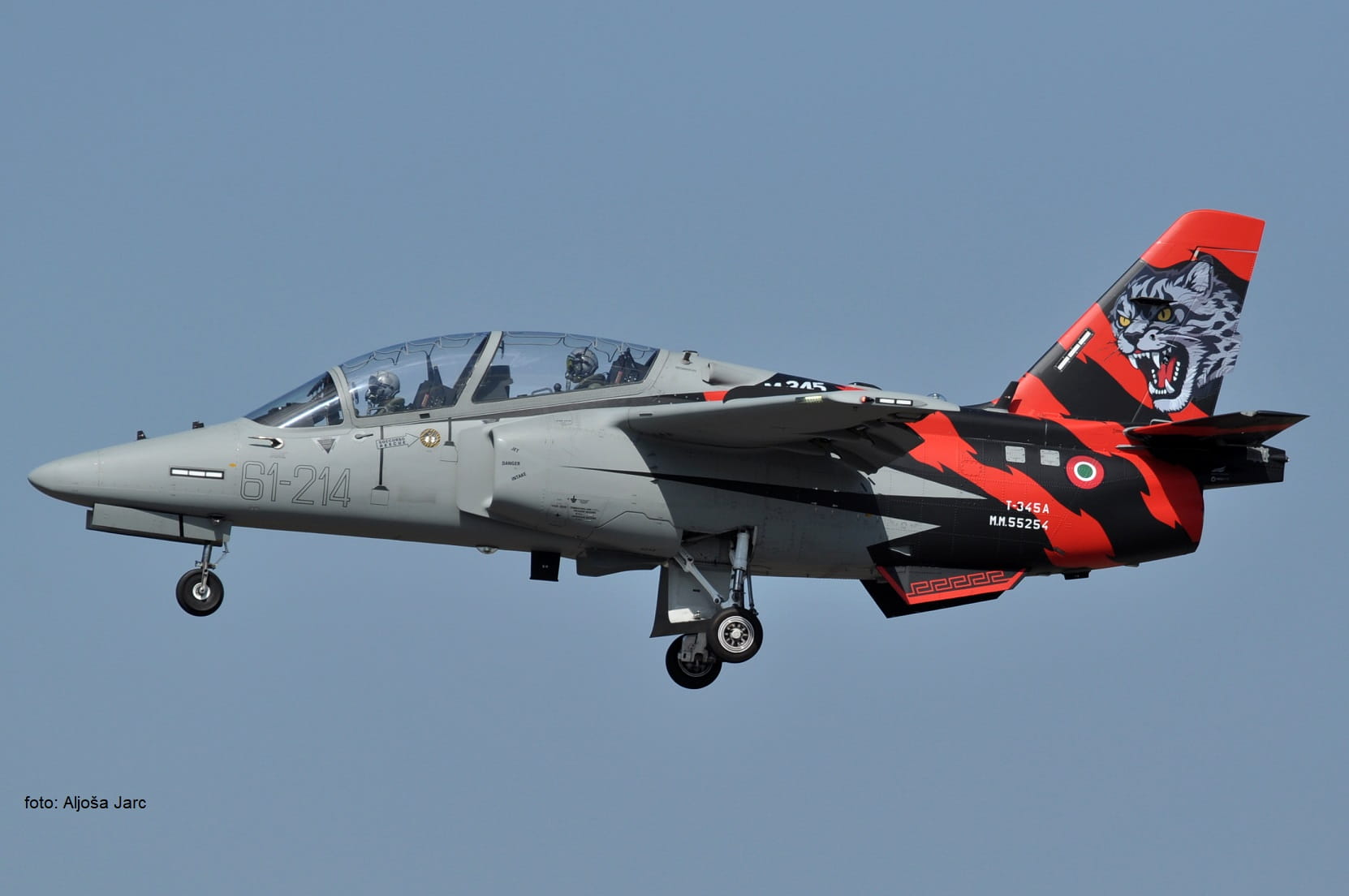 SIFEX T 345A DSC 0626a