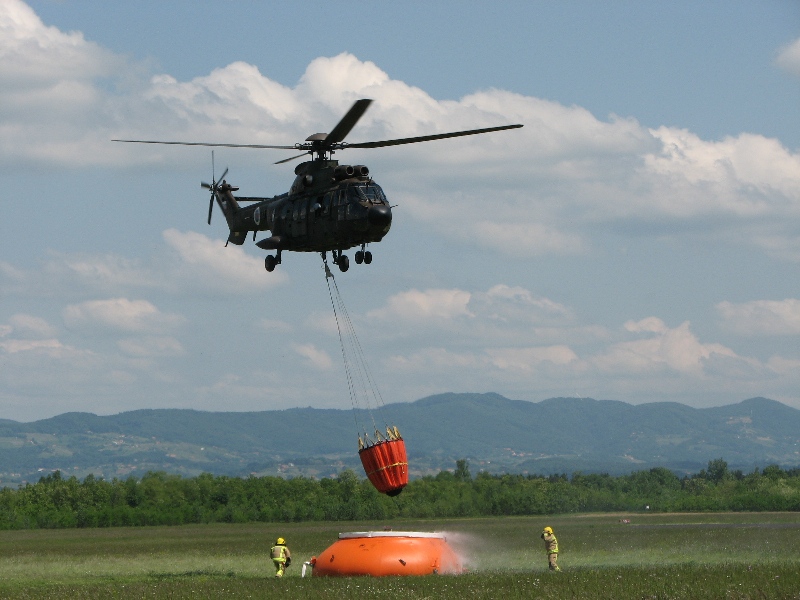 cougar_as532al_166.jpg