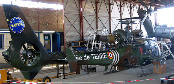 gazela_img_1697.jpg