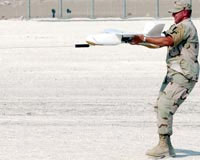 desert_hawk.jpg