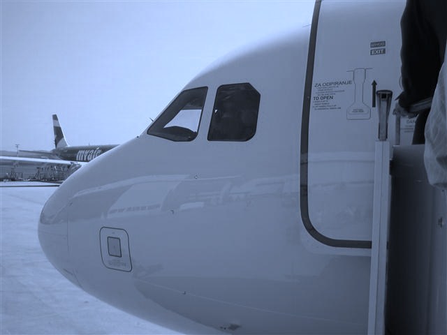a_319_nos.jpg