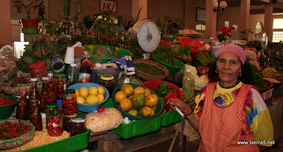 cebo_verde_trznica_img_0809.jpg