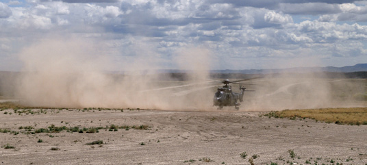 cougar_azor2010 cougar_azor2010.jpg