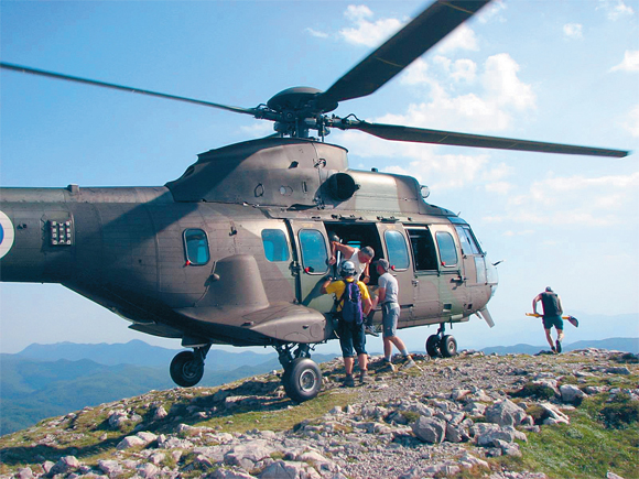 cougar_foto_miro_vrh.jpg