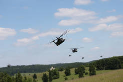 elite_2010_p_66023252d8.jpg
