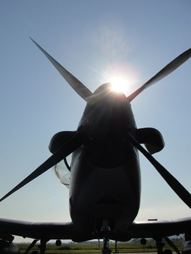 alliedstrike2011a.jpg