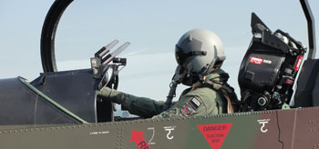 alliedstrike2011c.jpg