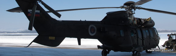 cougar-img_2339.jpg