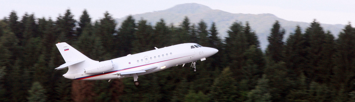 falcon_foto_robert_balen.jpg