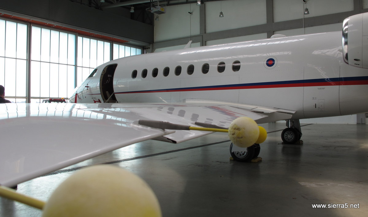 falcon_img_3032.jpg