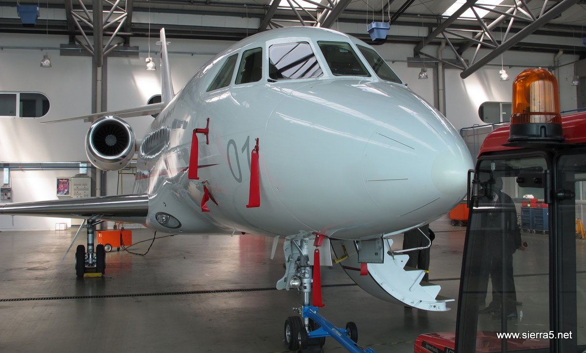 falcon_img_3045.jpg
