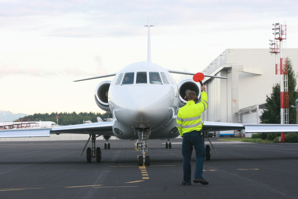 falcon_robert_balen_1.jpg falcon_robert_balen_1.jpg