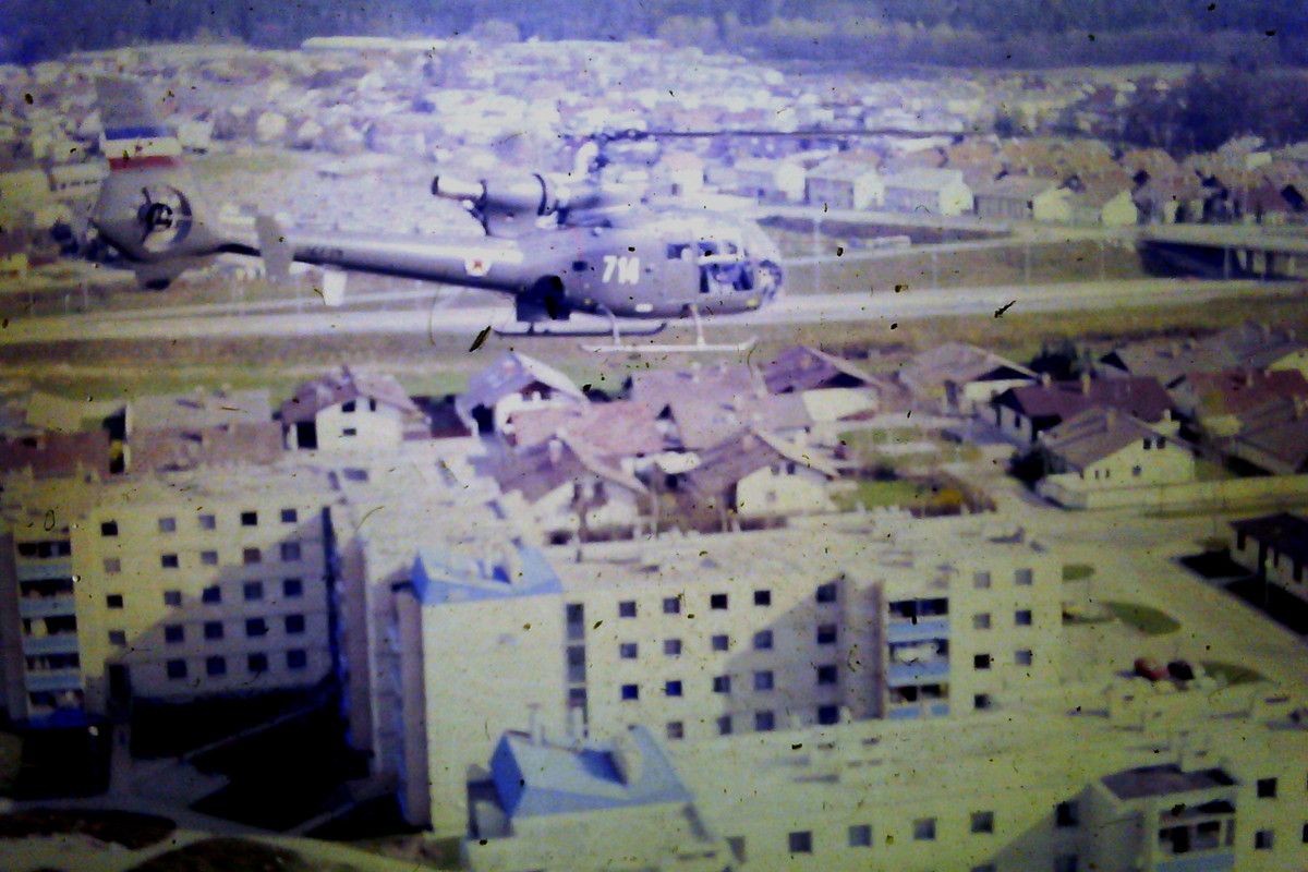 gazela_mrlak_1.jpg