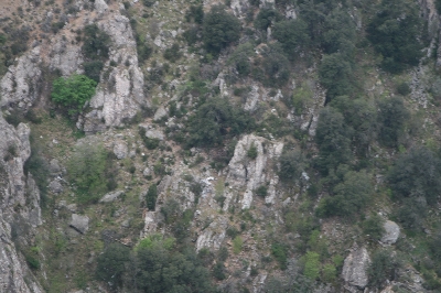 Pogled na goro in ostanki razbitin 3 gora_3.jpg