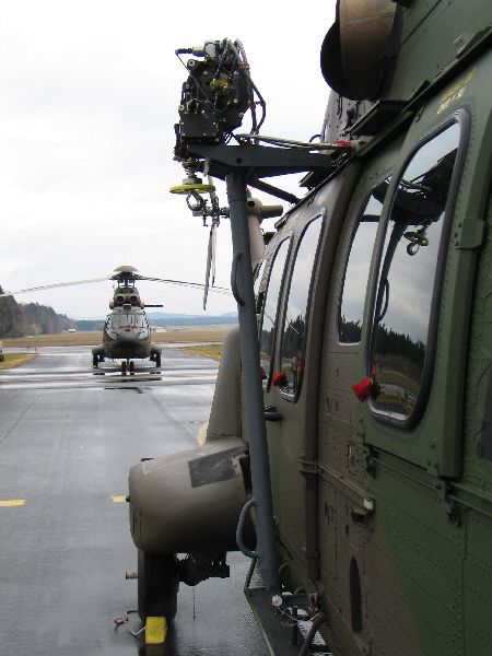 ec_cougar_1.jpg