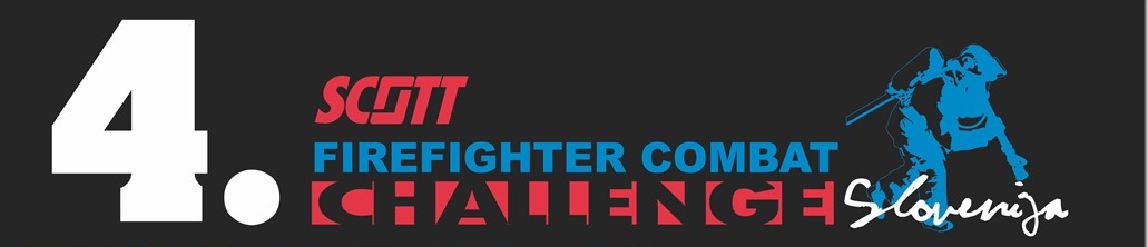 fccs2013.jpg