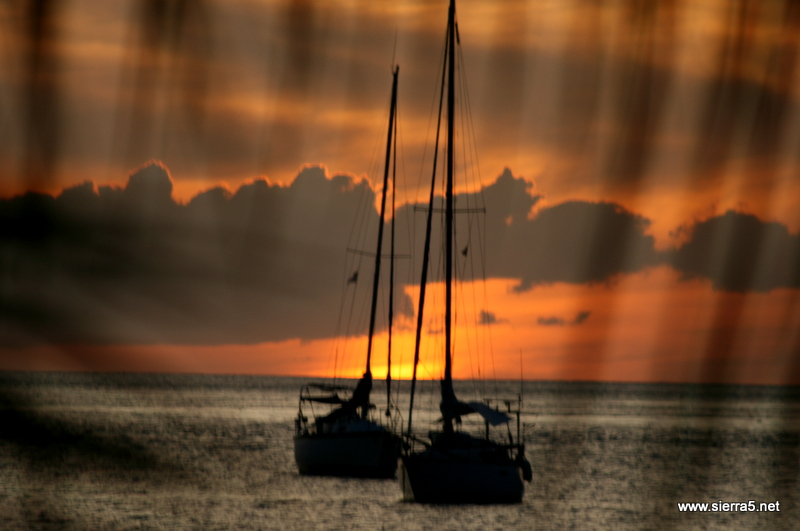 img_6662.jpg img_6662.jpg