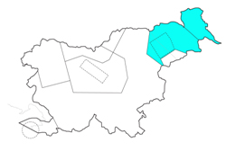 tma_maribor_2.jpg
